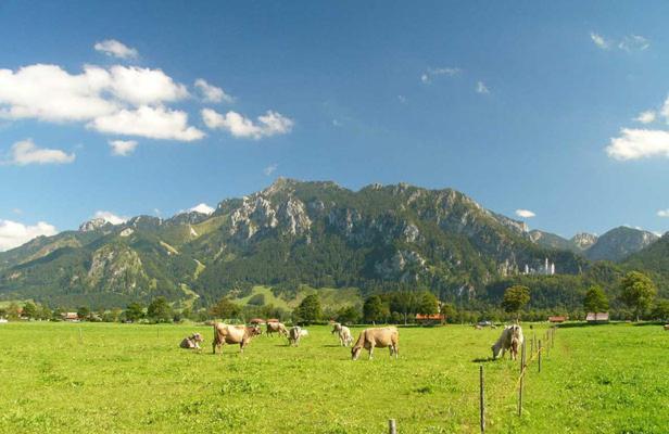 Jägerhof Und Jägerstadel Gasthof *