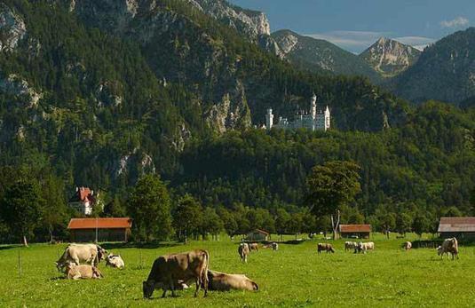 Guest house Jaegerhof Und Jaegerstadel Schwangau